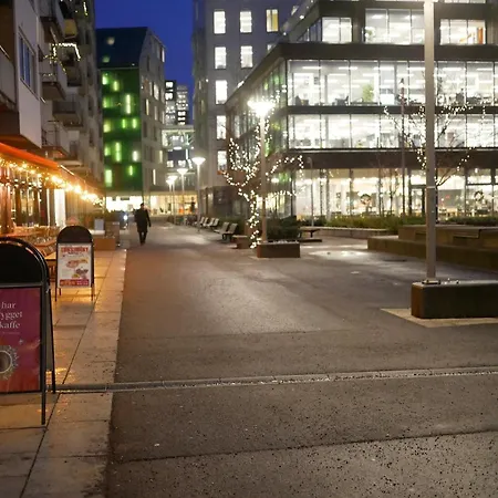 And Cozy Next To S 奥斯陆